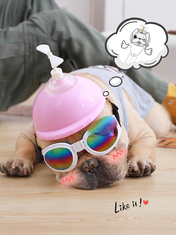 Dog Motorcycle Cap Cat Hat Pet Headwear Jarre Aero Bull Golden Retriever Corgi Motorcycle Helmet Bamboo Dragonfly Helmet