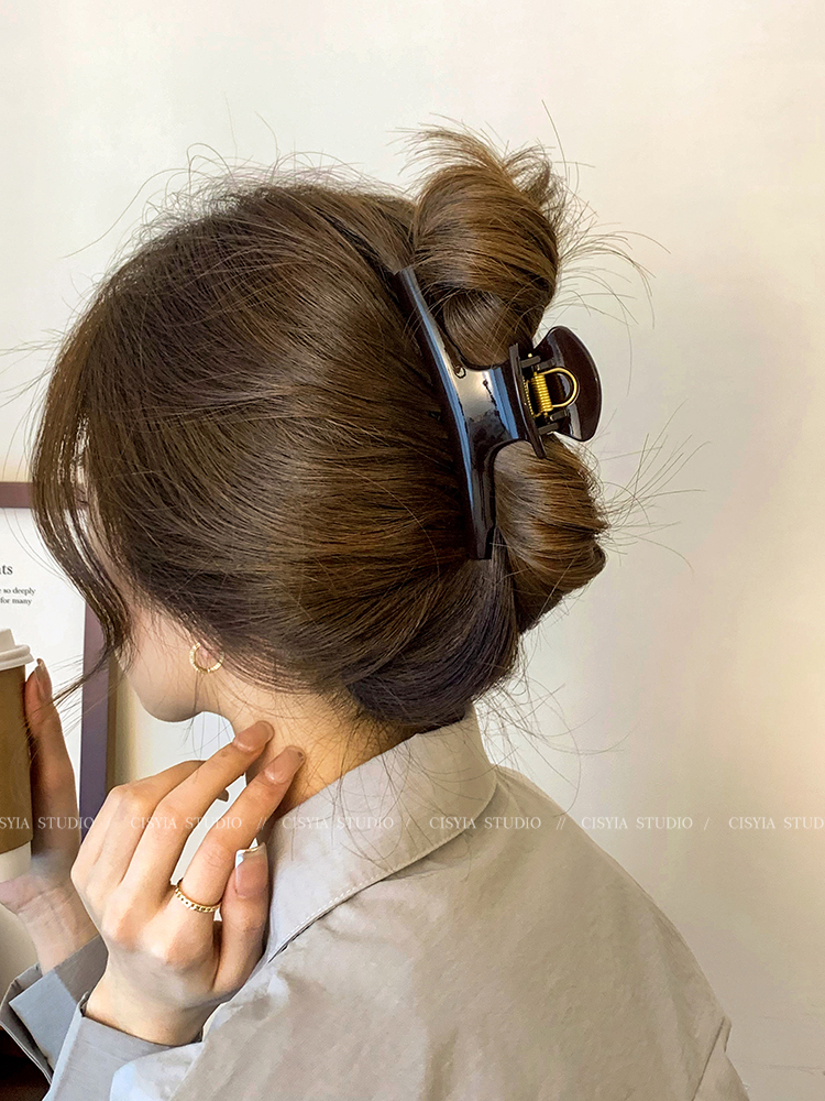 Internet Hot Fancy Back Head Large Grabbing Clip