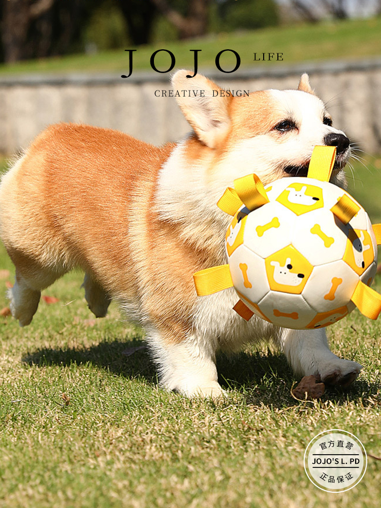 Jojo's L. Pd. Mr. Grocery. Dog Outdoor Toy Molar Long Lasting Sounding Inflatable Football | Soldier