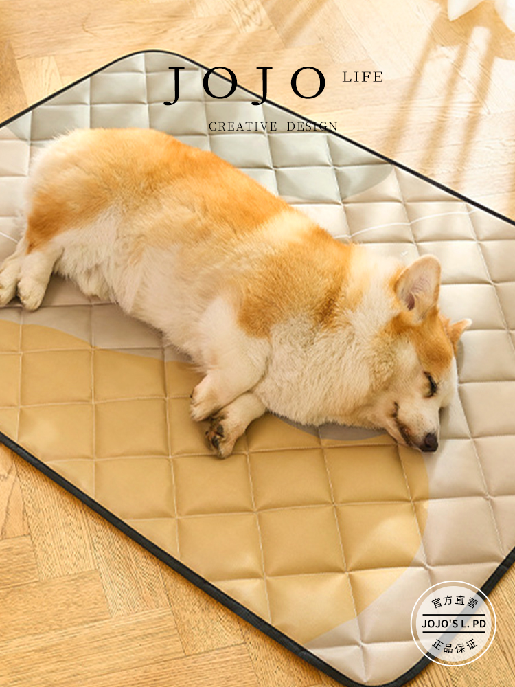 Jojo's L. Pd. Today. Pet All Year Round Neutral Dog Mat Oxford Cloth Mat | Today