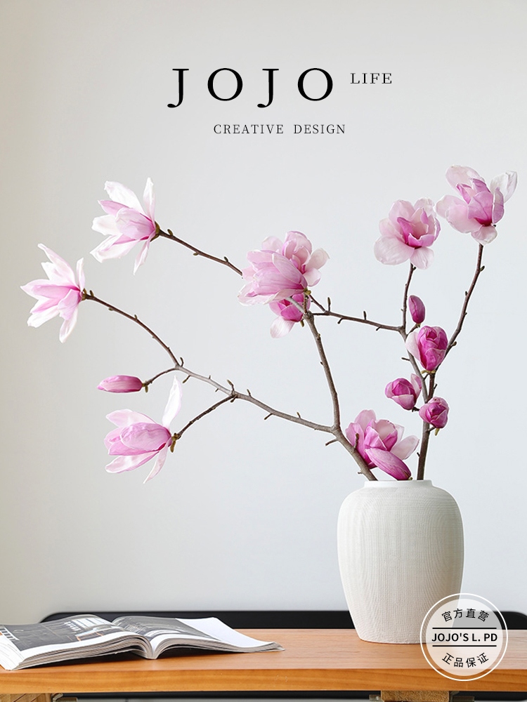 Jojo's L. Pd. Unduly. Nordic Japanese Style Modern Living Room Restaurant Decoration Decorative Vase | Overserving