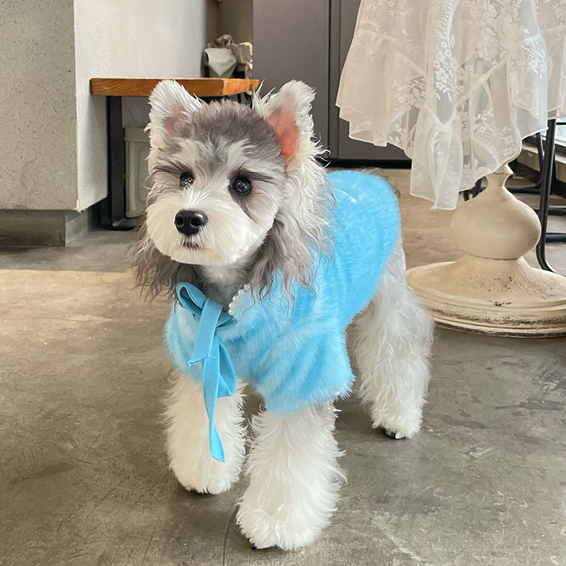 Dog Clothes Autumn and Winter Pet Small Puppy Thickened Schnauzer Bichon Cotton-Padded Clothes Winter Cotton Coat Winter Heattech