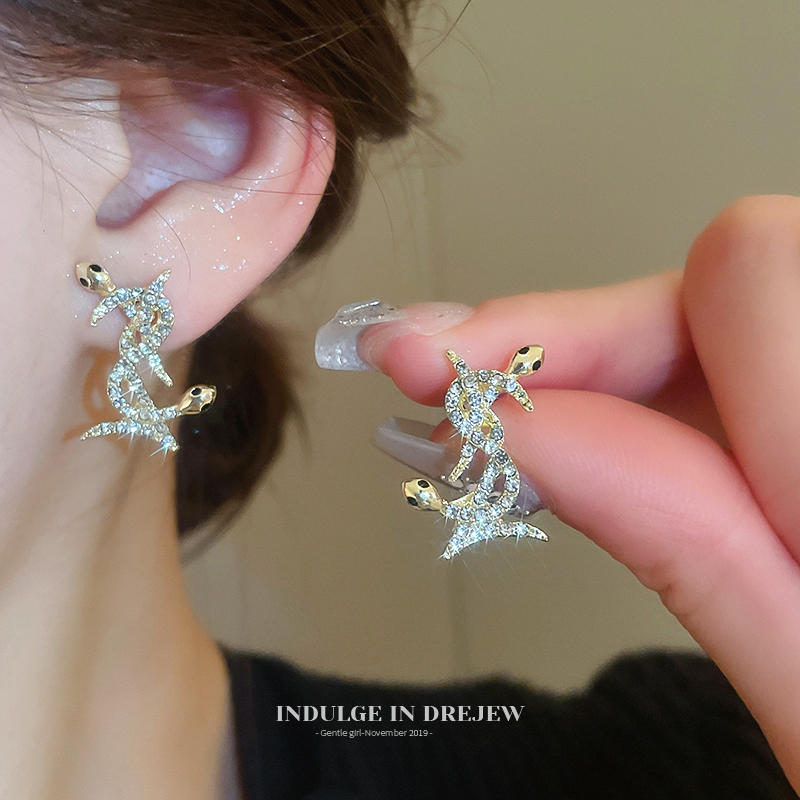 Snake-Shaped Animal Year Alphabet Letter Earrings Accessible Luxury Fancy Elegant Earrings Fashionable Stylish Design Earrings Female New Arrival