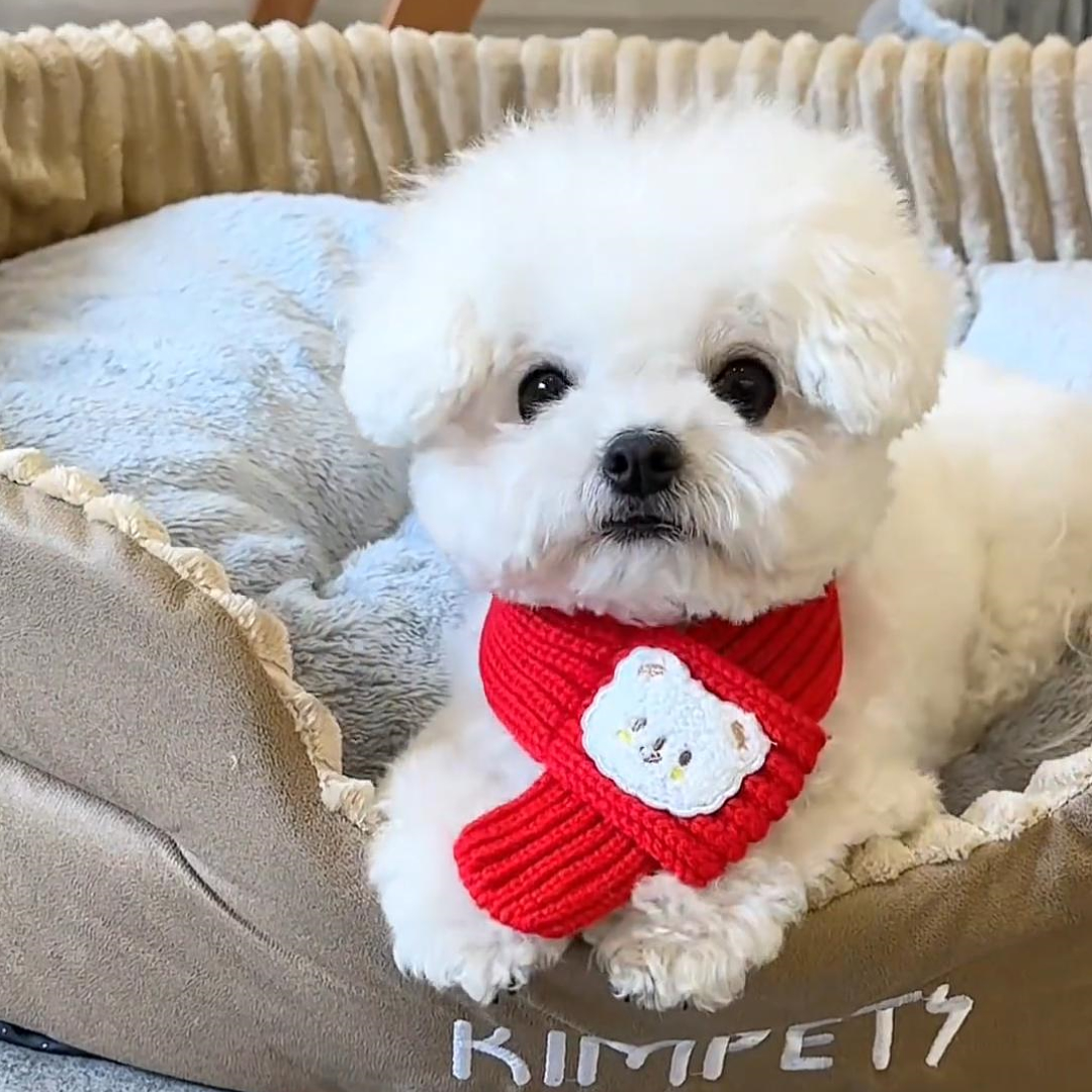 Pet New Year Scarf Dog Cat Collar Saliva Towel Scarf Accessories New Year Dress up Kitten Bib Decorations