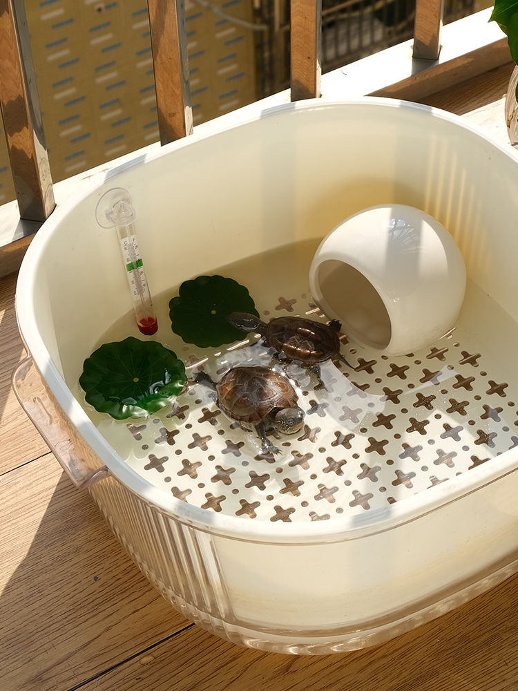 Turtle Feeding Cylinder Fish Tank For Home Living Room and Dormitory Desktop Landscaping Cylinder Small Brazilian Turtle Cylinder Double-Layer Water Exchange Convenient