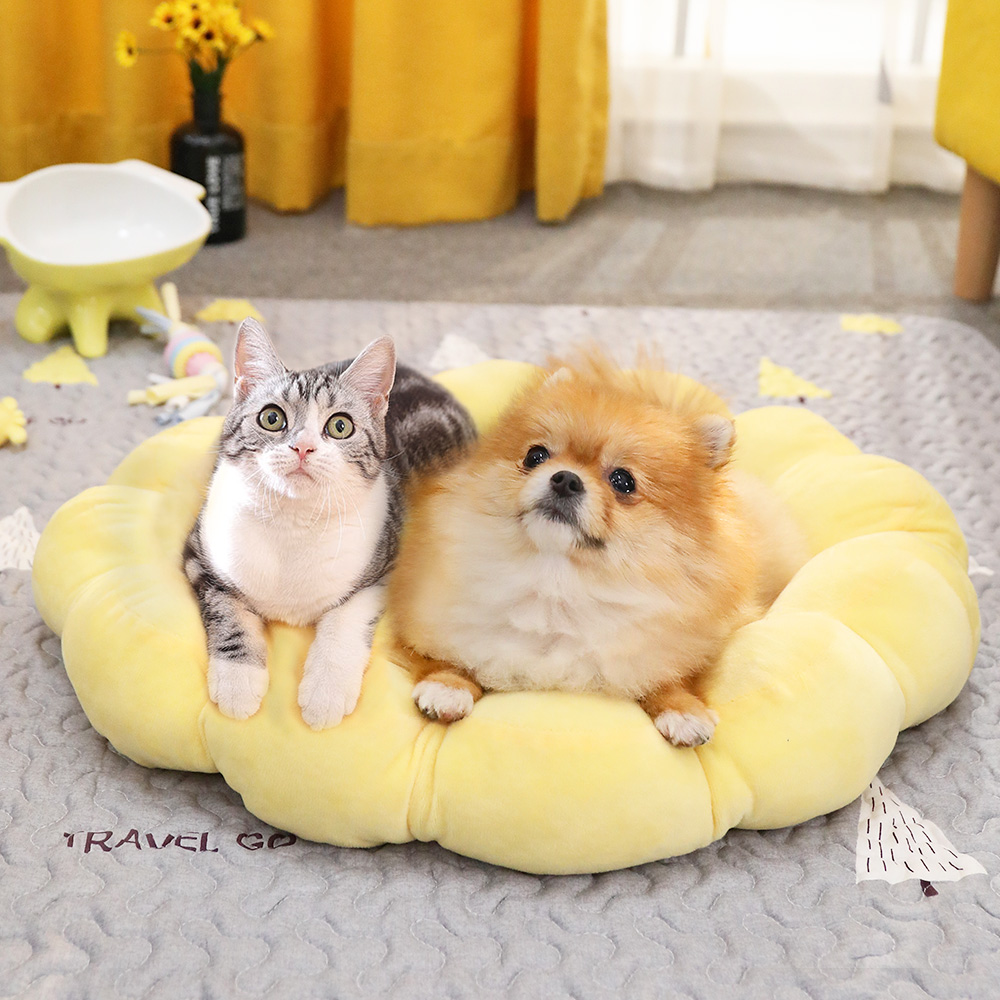 Cat Mat Sleep for Pet Mat Kennel Moisture Proof Pad Cotton Cushion Cushion Cat Foot Mat Dog Mat Mattress All Year Round