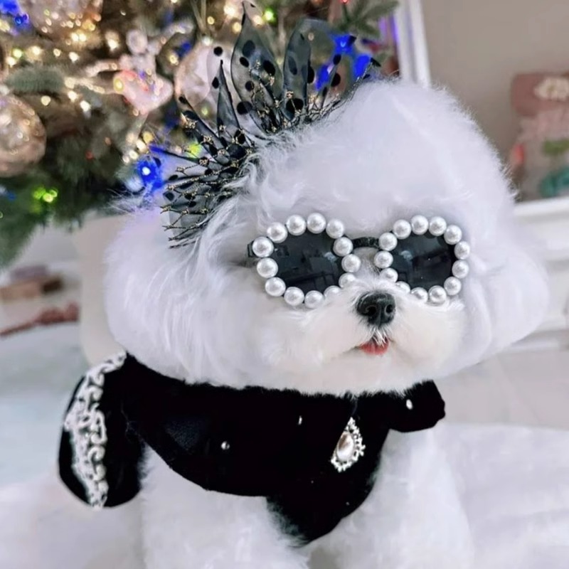 Hippie Dog Pet Princess Lady Style Dress Autumn and Winter Bichon Teddy Small Size Dogs Clothes