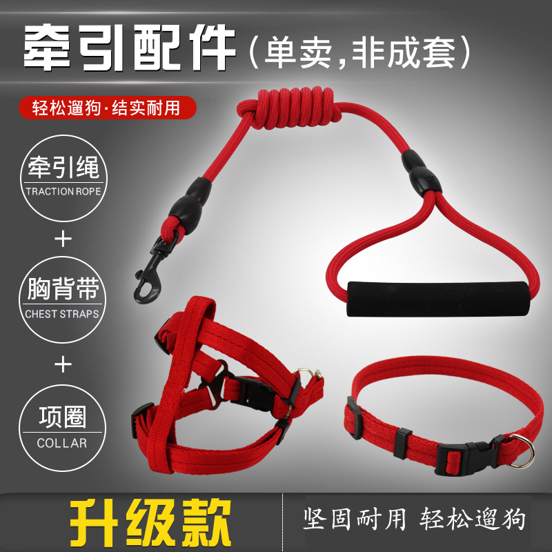 Dog Hand Holding Rope Dog Walking Chain Small Medium and Large Dog Collar Collar Corgi Teddy Golden Retriever Pet Supplies Chest Strap