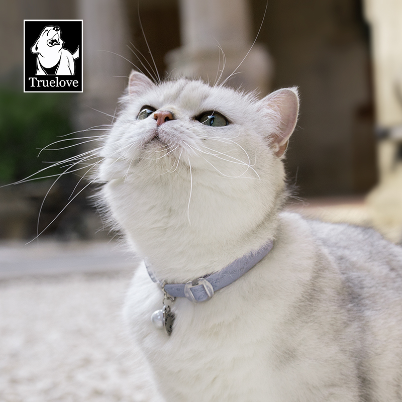 Truelove Cat Collar Bell Collar Necklace Kitten Kittens Lettering Card Anti-Lost Pet Necklace Anti-Strangulation