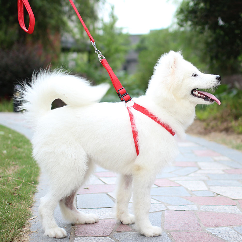 Pet Blessing Pet Harness Dog Rope Leash Golden Retriever Dog Leash Chest Strap Traction Rope Dog Rope