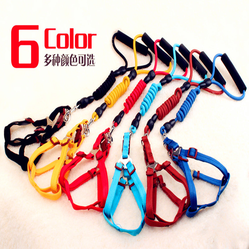 Teddy Small Dog Strap Pet Supplies Dog Chain