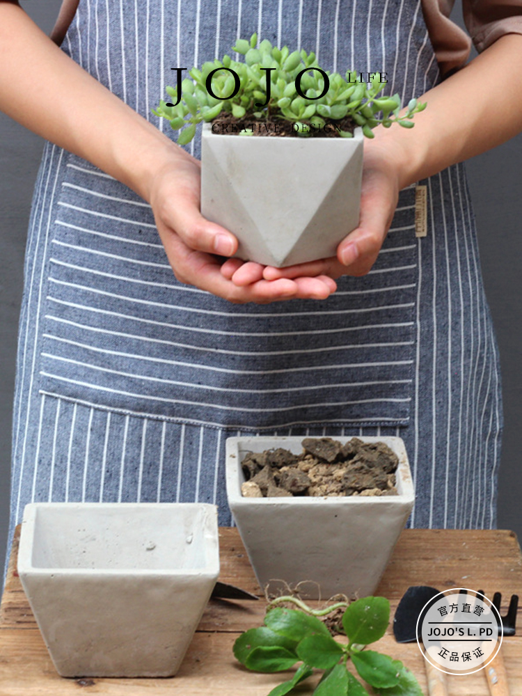 Jojo's L. Pd. Completely. Succulent Plant Small Flower Pot Diamond Creative Cement Pots | Complete