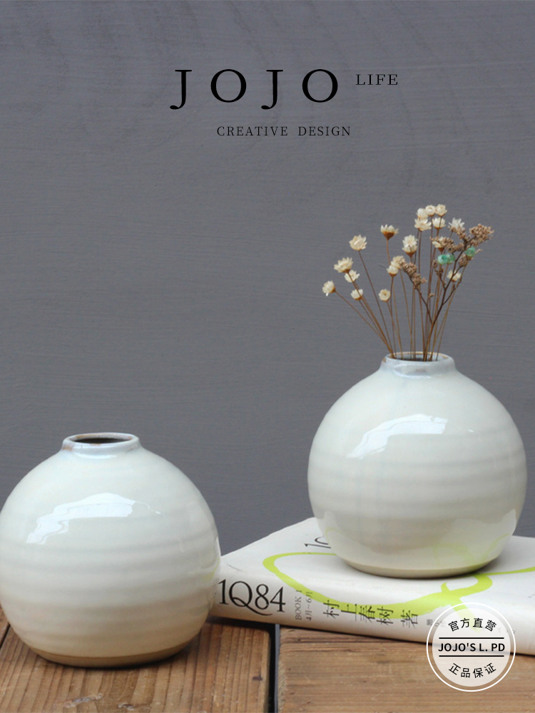 Jojo's L. Pd. That. Scandinavian Modern Hydroponic Narrow Mouth Flower Ware Dried Flower Ceramic Small Vase | Meaning