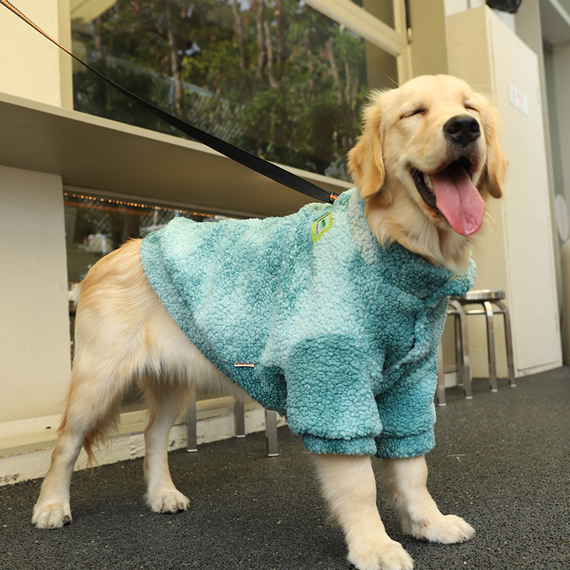 Dog Clothes Autumn and Winter Medium Size Large Dog Border Collie Samoyed VIP Labrador Winter Pet Golden Retriever
