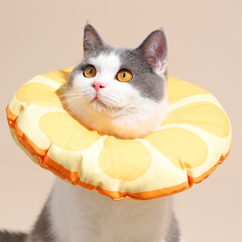 Elizabeth Ring Soft Cat Collar Cat Collar Dog Kittens Anti-Licking Sterilization Bandana Pet Cute Jewelry Headgear