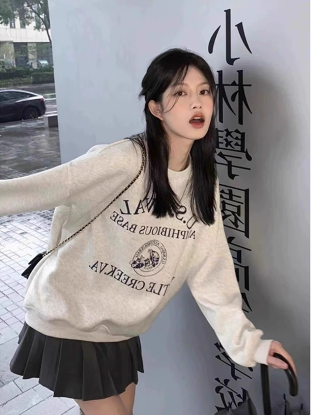 Pure Cotton Spring and Autumn Fleece Thickened Oats Gray round-Collar Sweatshirt Female Loose Design Minority Fashion Top without Hood