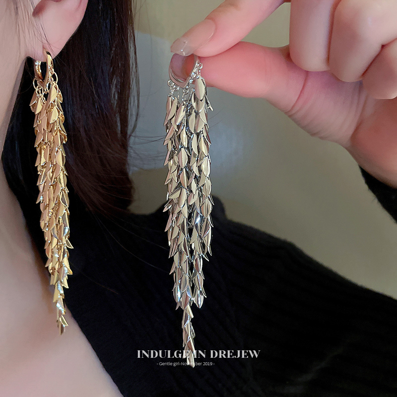 Tassel Earrings 2025 New Arrival Best Selling Tide Long Stud Earrings for Women Fancy Special-Interest Design Retro Earrings Eardrops
