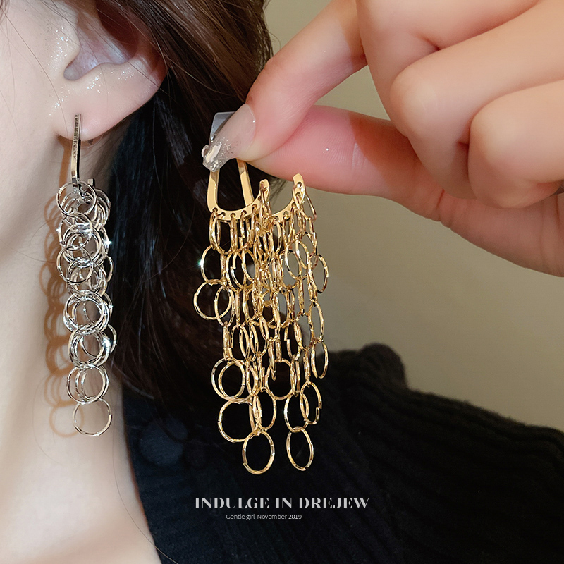 Metal Circle Tassel Earrings Light Luxury High-Grade Elegant Earrings Niche Design Elegant Earrings Women New