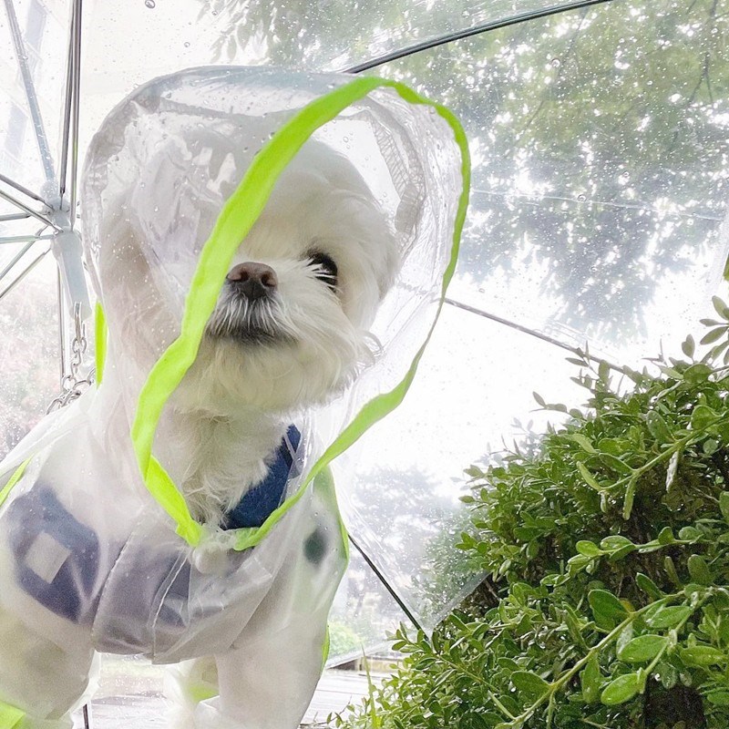 Puppy Dog Raincoat Four-Legged Waterproof All-Inclusive Teddy Bichon Small Puppies Pet Rain Poncho Hippie Dog Clothes