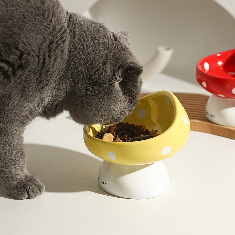 Protection Cervical Spine Food Basin Pet Supplies Wholesale Cat Bowl