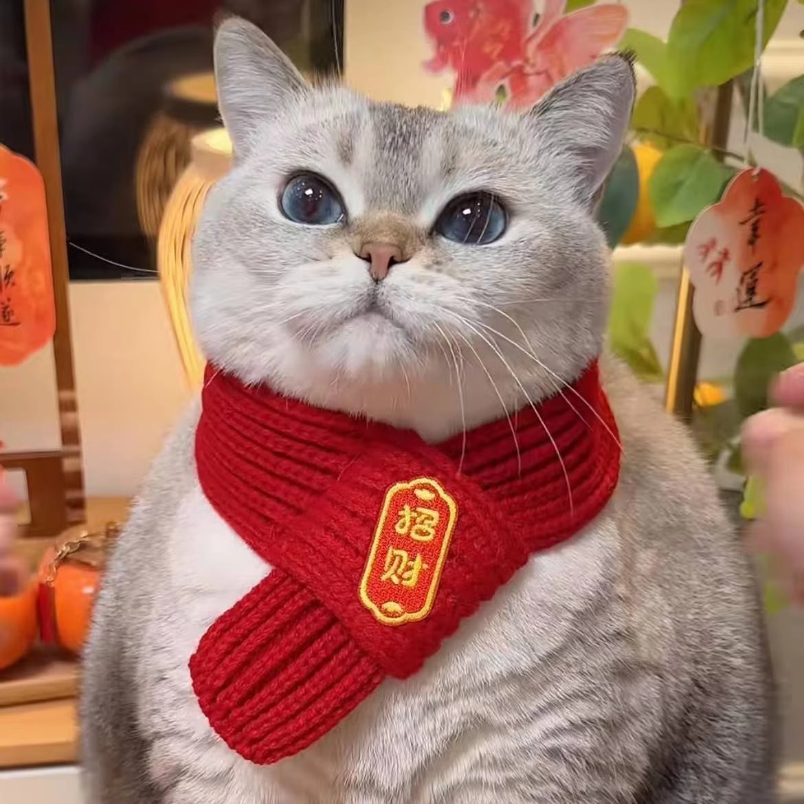 Cat Mi New Year Scarf Pet Scarf Red Warm Chinese Style Saliva Towel Bib Dog New Year Decorations