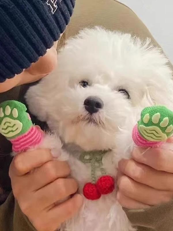 Dog Socks Booties Non-Slip No Heel Slippage Anti-Scratch Anti-Dirty Claw Set Teddy Bichon Corgi Cat Shoes Pet Supplies