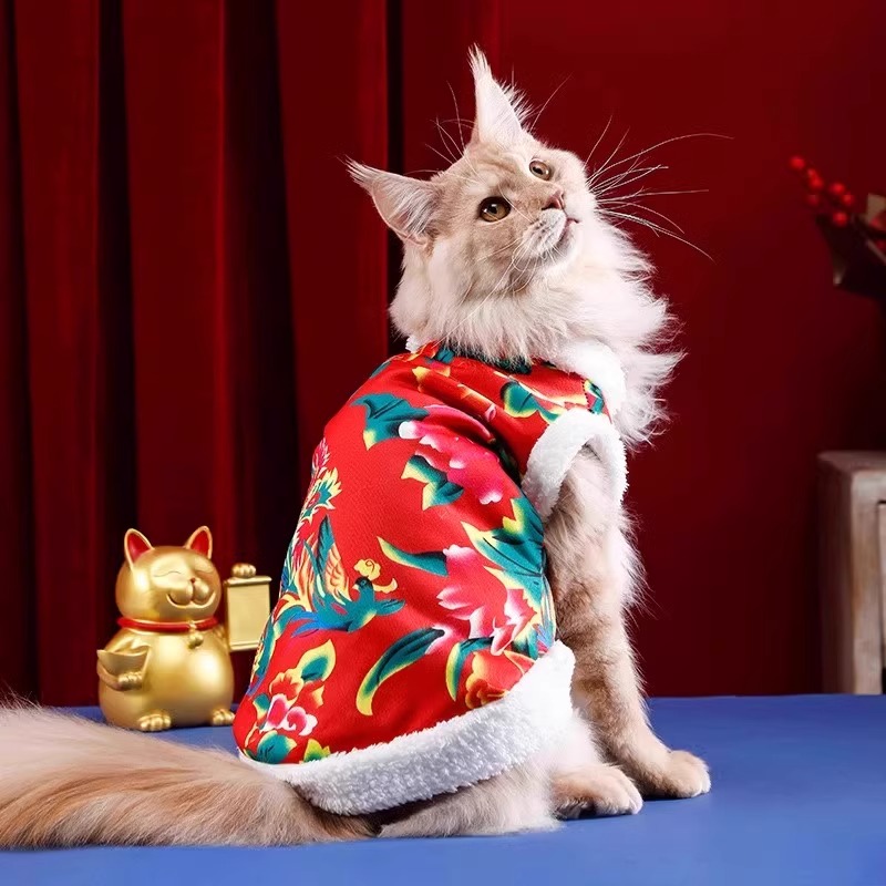 Cat Clothes Winter Heattech Kitten Pet Fall and Winter New Arrival Kittens Ragdoll Anti-Lint Thickened New Year Clothes
