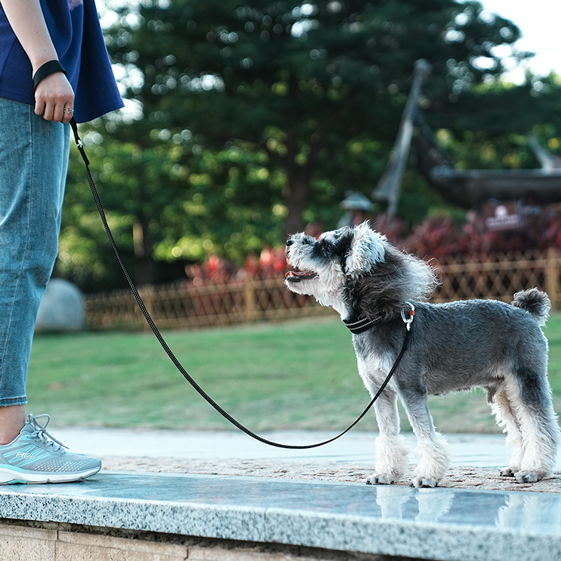 Truelove Dog Hand Holding Rope Dog Rope Puppy Chain Medium-Sized Dog Teddy Corgi Pet Outing Dog Leash