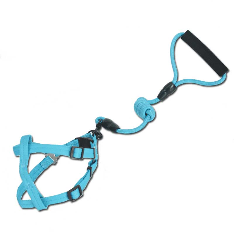Teddy Small Dog Strap Pet Supplies Dog Chain