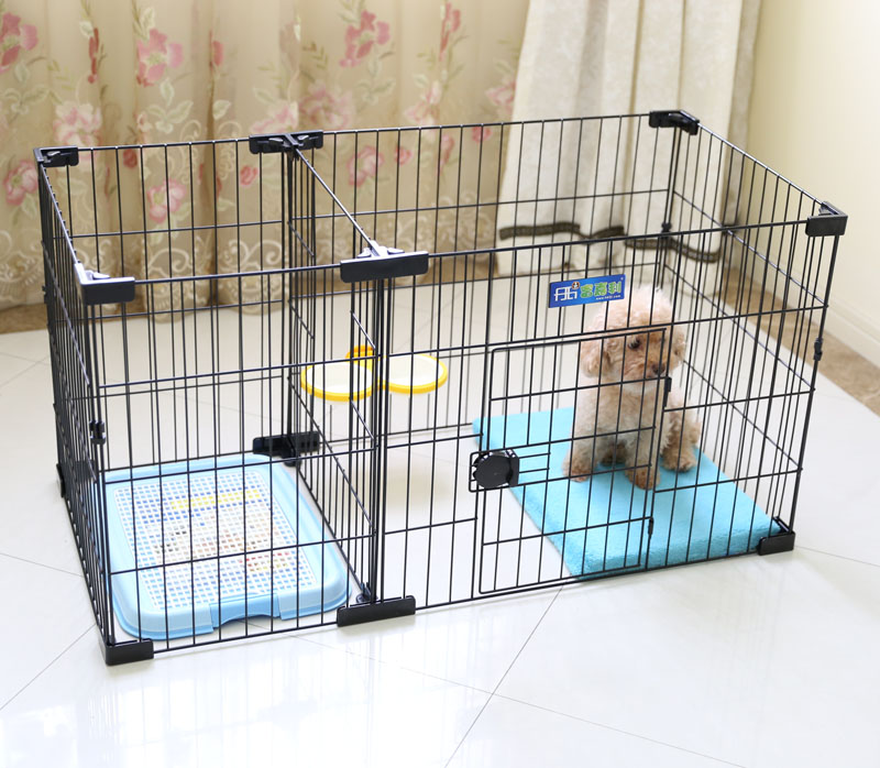 Teddy Pet Small Dog Fence VIP Bulldog