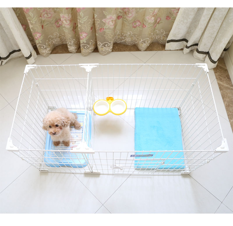 Teddy Pet Small Dog Fence VIP Bulldog