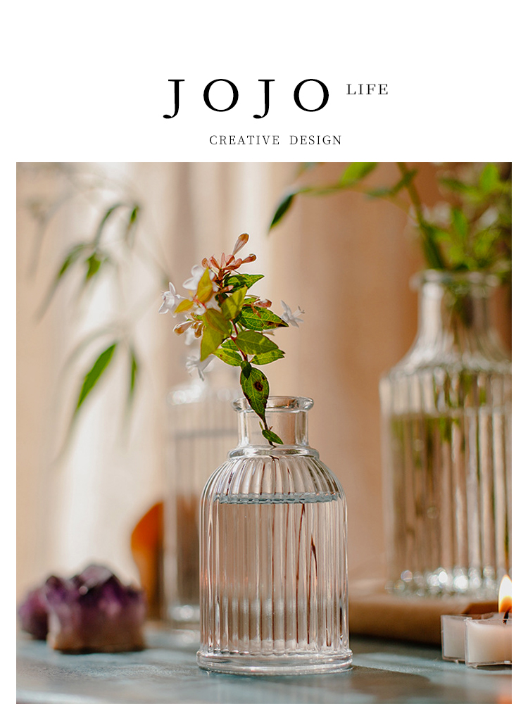 Jojo's L. Pd. Rare. Vase Transparent Glass Mini European Hydroponic Flower Arrangement Decorative Ornament | Magnificent