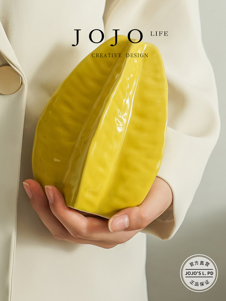Jojo's L. Pd. Biwing. Scandinavian Ins Carambola European-Style Ceramic Vase Artificial Flower Creative | Biyi
