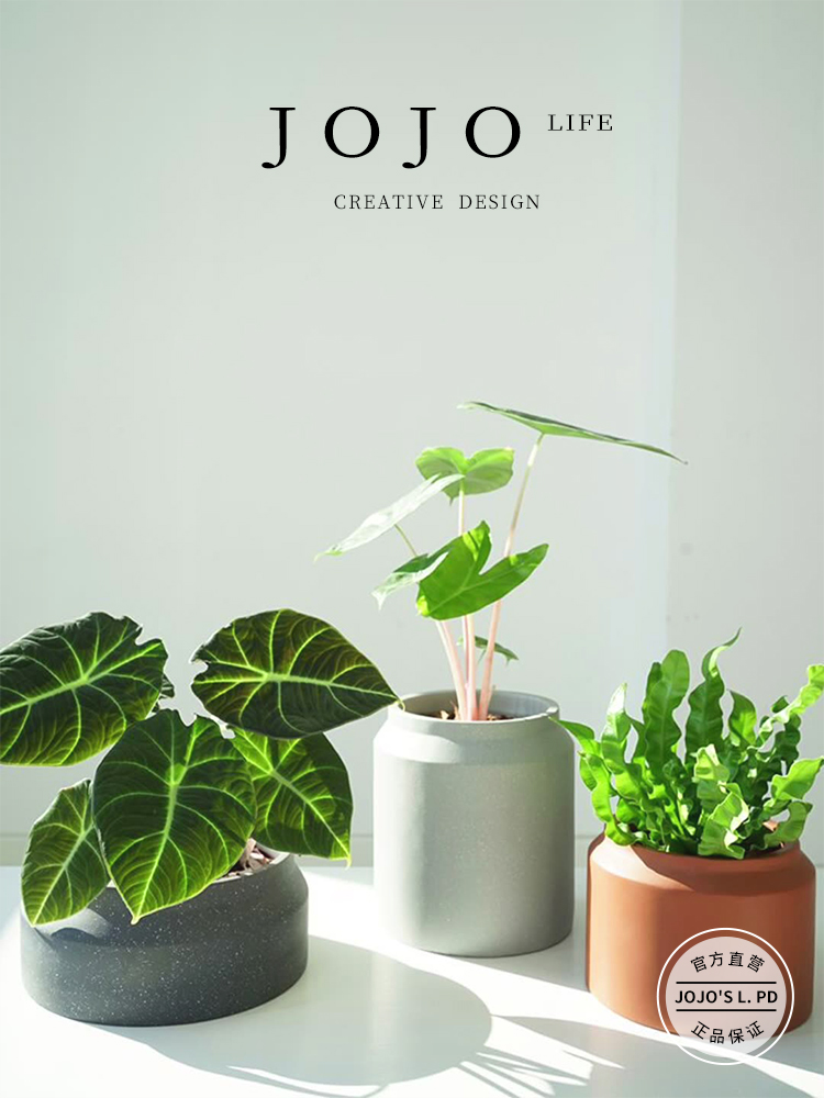 Jojo's L. Pd. Dulum. Nordic Style Simple and Fresh Simple round Cement Flower Pot | Dance Pendulum