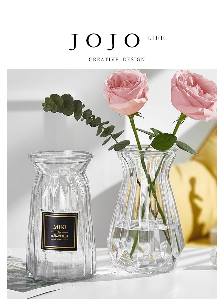 Jojo's L. PD · Sprout · Vase Glass Transparent Nordic Simple Ins Style Flower Arrangement | Mengran
