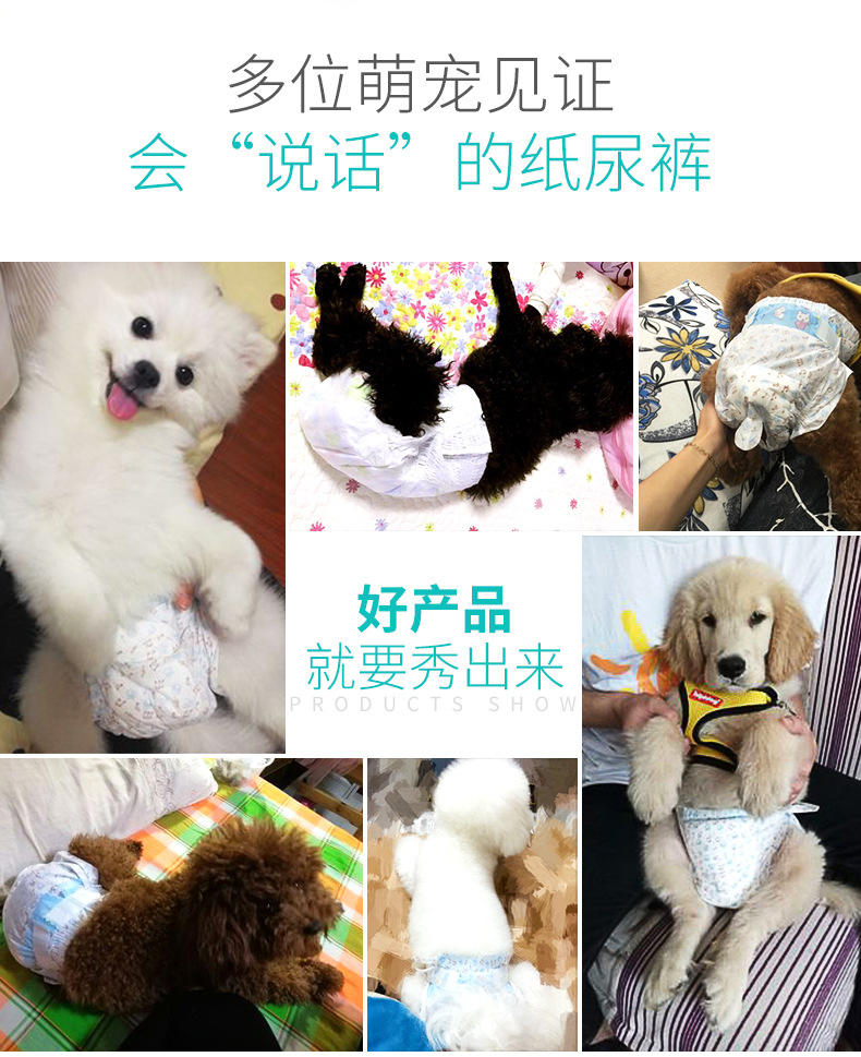 图片_31