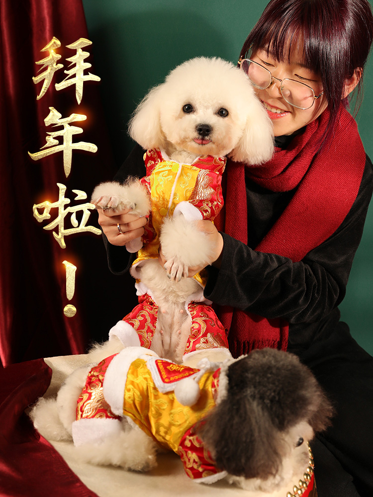 Dog Lion Dance Costume Pet Dog Clothes TikTok Same Style Lion Dance Dragon Dance Small Size Dogs Teddy Internet Celebrity Funny Tang Suit