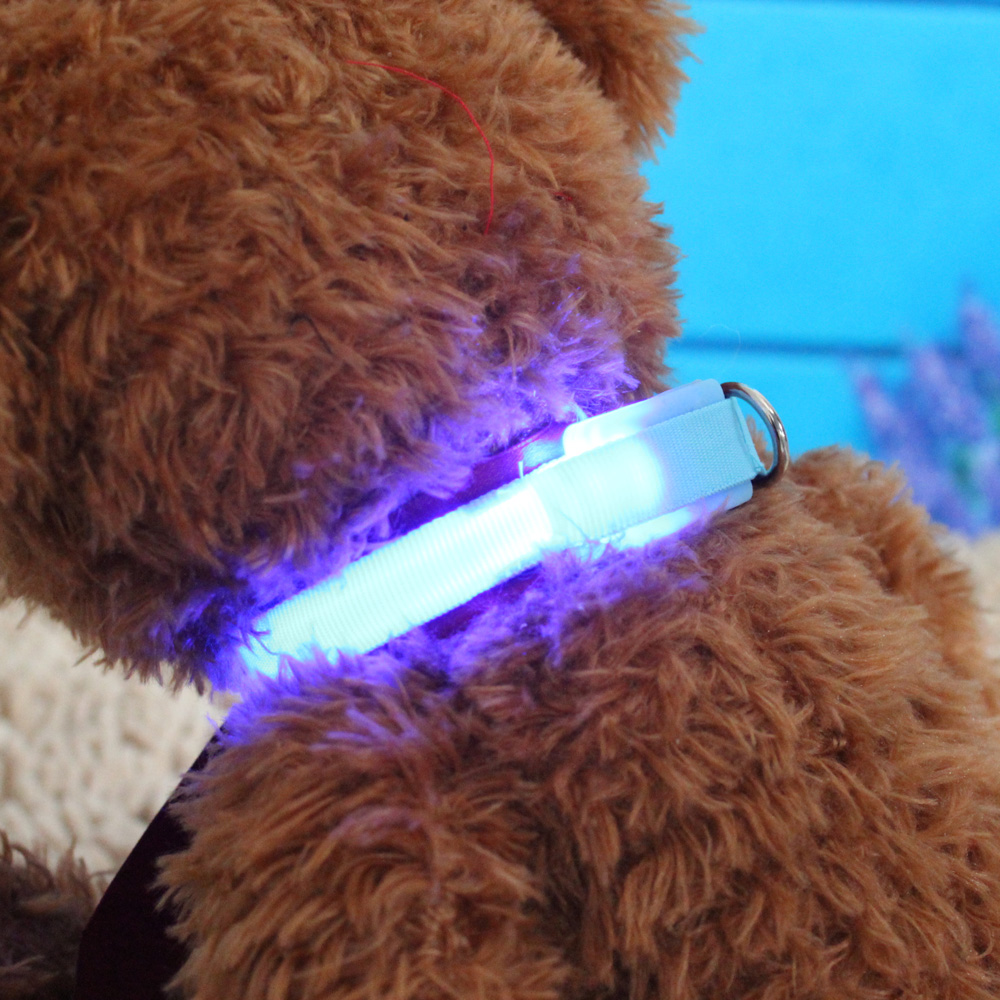 Big Sale Led Luminous Pet Collar Collar Teddy/Golden Retriever Dog Luminous Fluorescence USB Charging