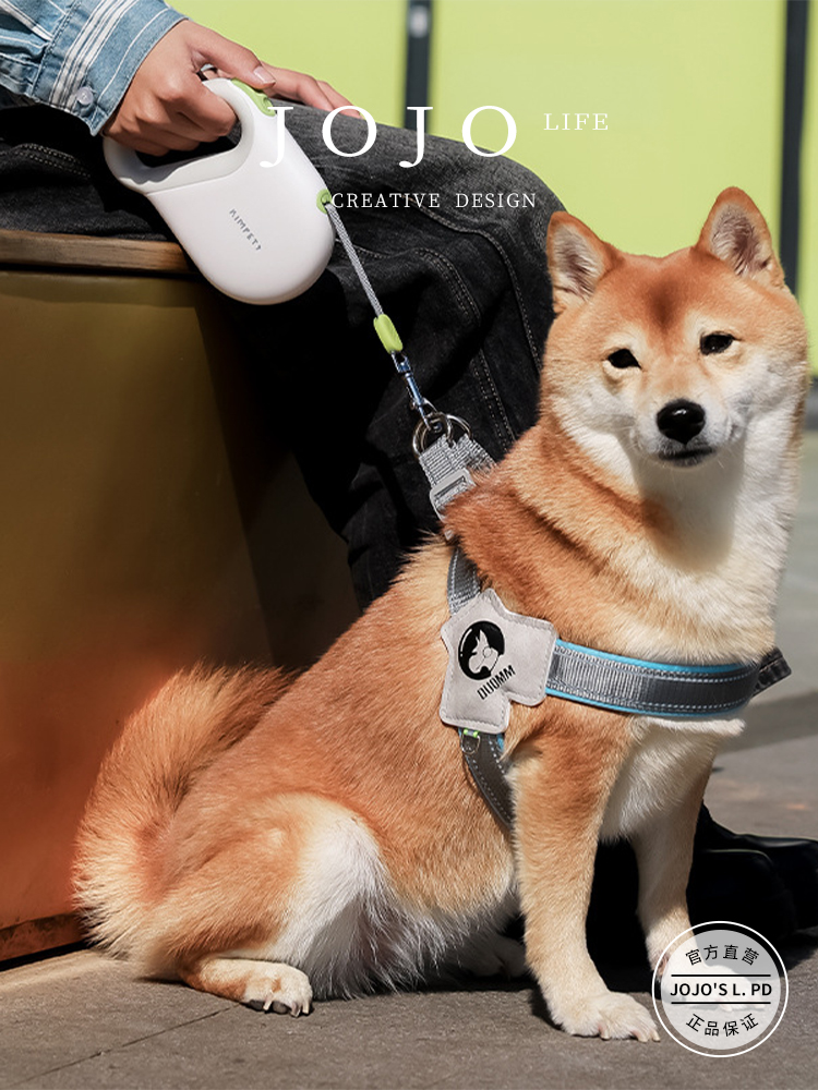 Jojo's L. Pd. Mr. Grocery. Pet Hand Holding Rope Retractable Controllable Safety Dog Leash | Soldier Wood
