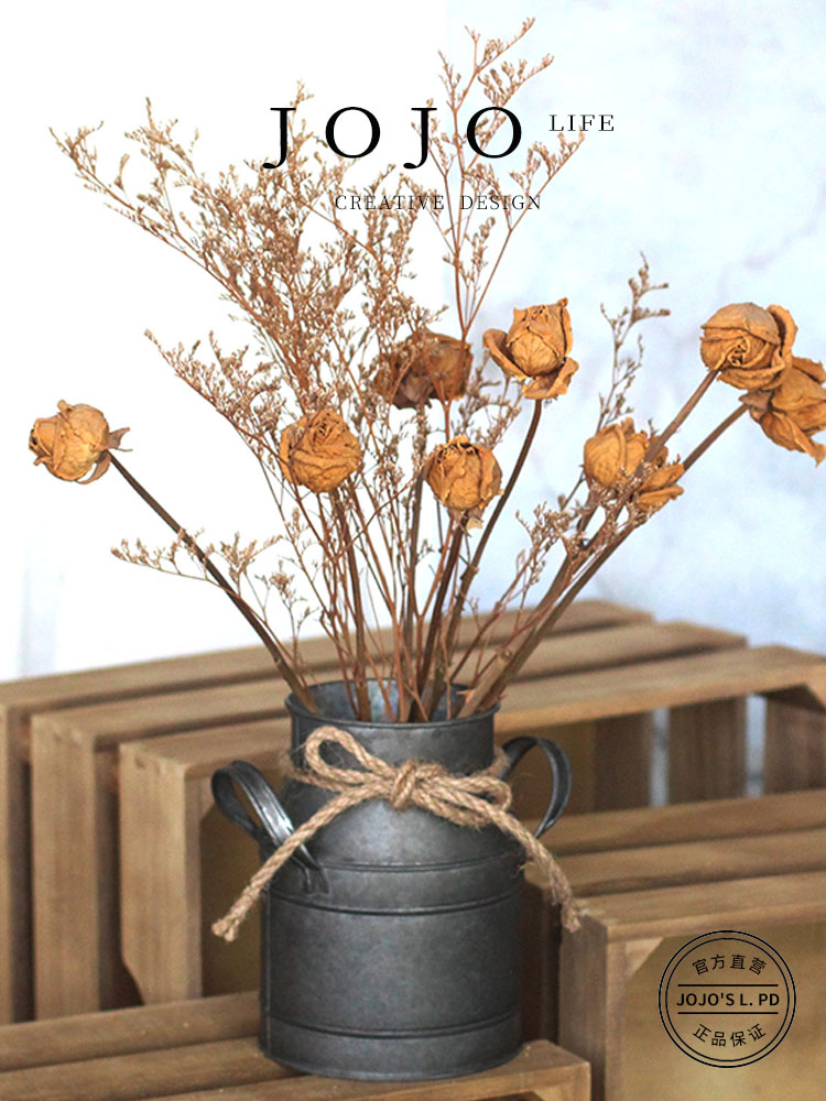 Jojo's L. Pd. Wild. Retro Flower Bucket Garden Terrace Flowerpot Indoor and Outdoor Decoration | Zhou Ye