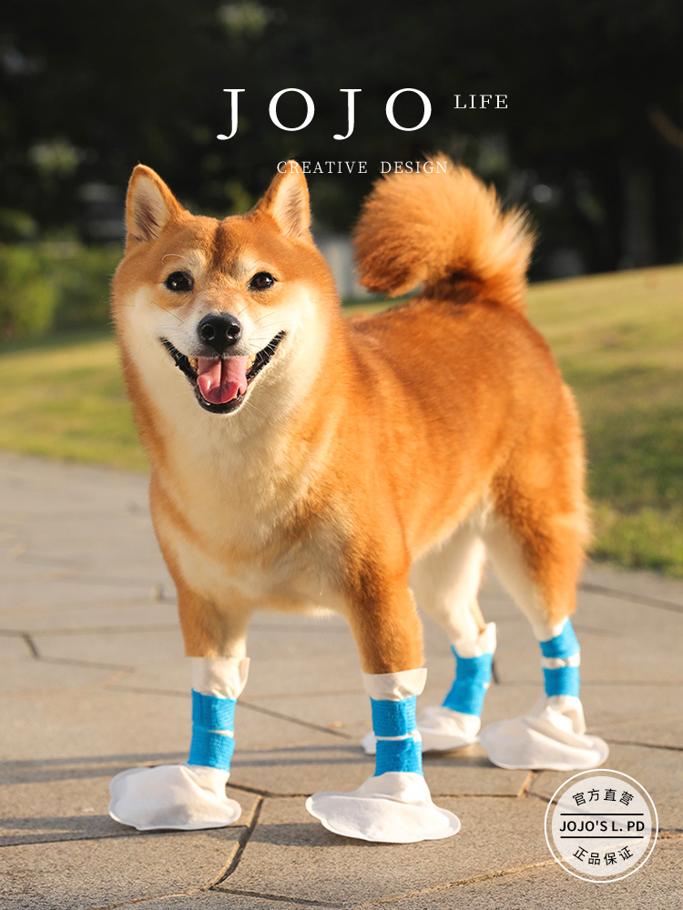 Jojo's L. Pd. Mr. Grocery. Shoe Cover Anti-Dirty Disposable Pet Travel in Rainy Days | Advance