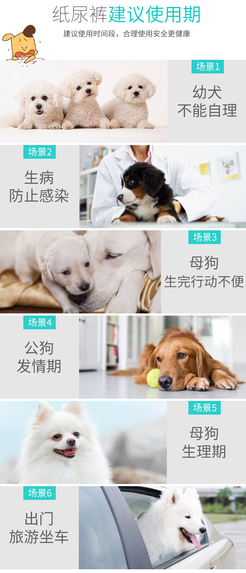 图片_38