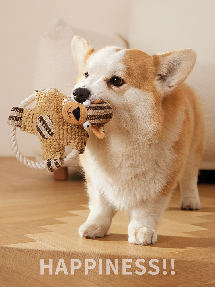 宠物耐咬磨牙玩具，适合各种犬种