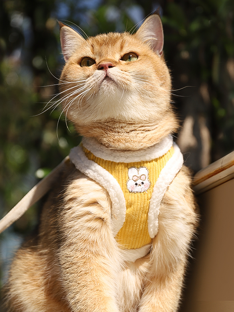Cat Traction Pet Harness Vest-Style Anti Breaking Loose Cat Rope Go out to Walk Cat Chain Small Size Dogs Clothes Heattech