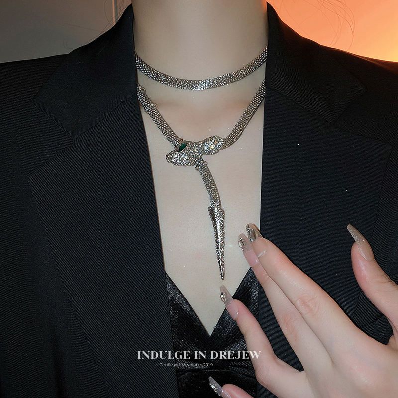 Fashion Snake Necklace Exaggerated Design Light Luxury Minority Clavicle Chain Female 2025 New Arrival Best Selling Sweater Chain Accessories