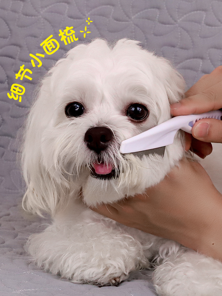 Special Cat Comb Teddy Bichon Flea Dog