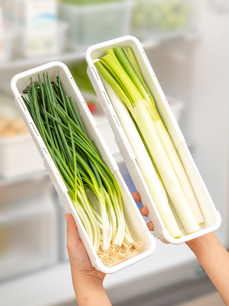 Onion, Ginger and Garlic Crisper Pepper and Coriander Storage Box Kitchen Special Food Preparation Box Freeze Refrigerator Chives Minced Garlic Chopped Green Onion