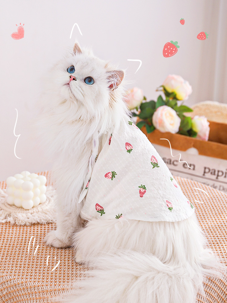 Cat Clothes Thin Summer Cat Kitten Ragdoll Gradual Layer Cute Plaid Anti-Lint Pet Summer Skirt