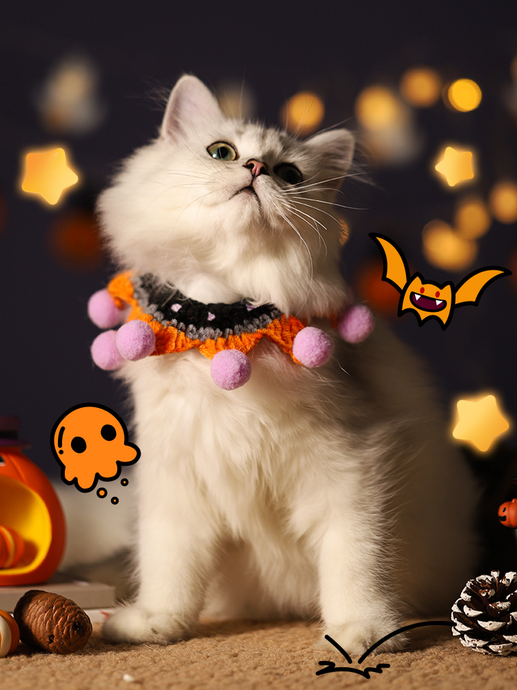 Cat Funny Pumpkin Scarf Pet Woven Bat Hat British Shorthair Chinchilla Neck Cute Accessories Supplies