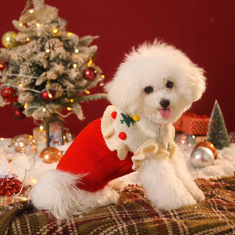 Dog New Year Clothes Autumn and Winter Bichon Clothes Teddy Puppy Sweater Winter New Year Cat Clothes